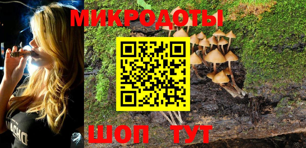 Волгоград  Псилоцибиновые грибы MAGIC MUSHROOMS  Вход с VPN  цены наркотик  Псилоцибиновые грибы MAGIC MUSHROOMS 
