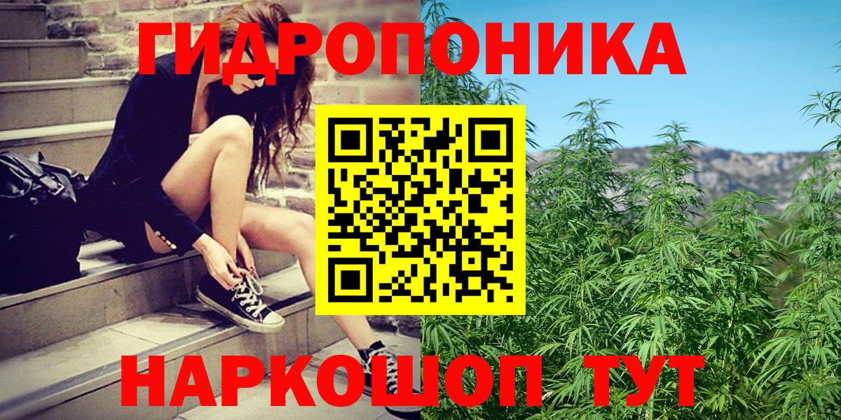 Шишки марихуана Amnesia Волгоград